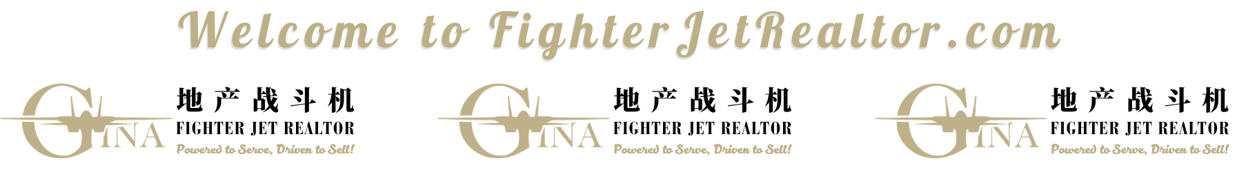 Welcome to FighterJetRealtor.com